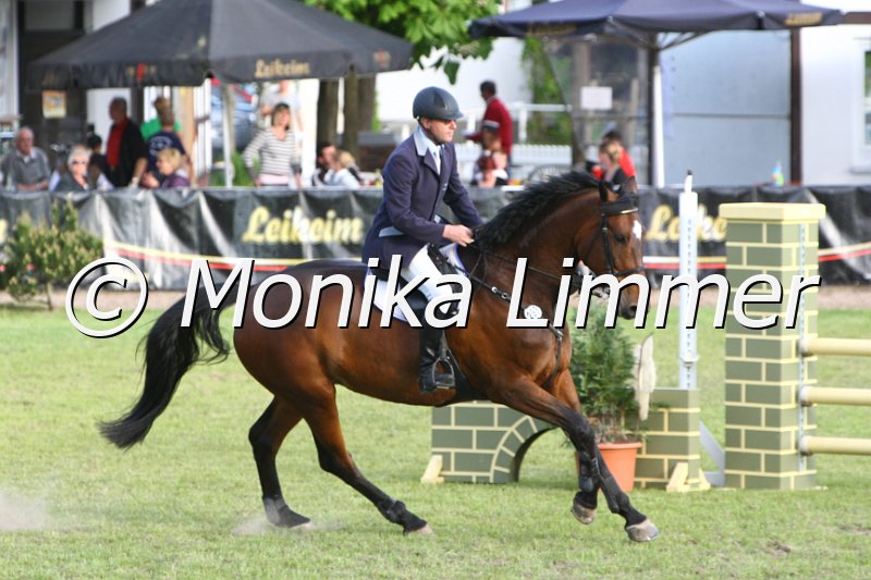 204M2160_Varina_Conello_Stil Axx.JPG